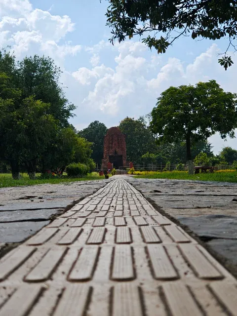 xiaomi 15 dynamic range